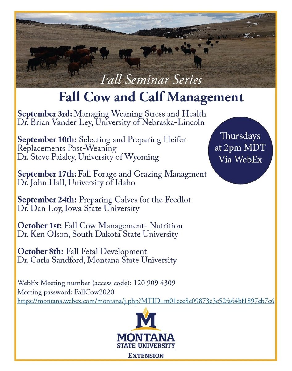 There's an MSU Beef Extension Fall Seminar Series coming up! Join via WebEx on Thursdays at 2 PM MDT.