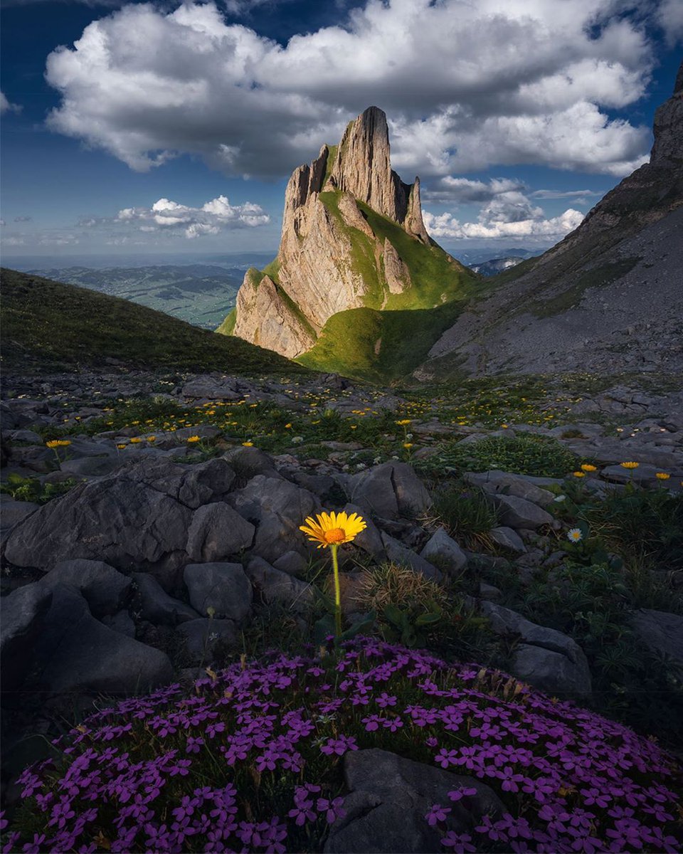 travelvgears's tweet photo. Stunning beauty of nature! 💛💛
.
📍 Switzerland
.
.
.
#alpstein #switzerland #switzerland_vacations #switzerland🇨🇭 #swissalps #alps #alpi #mountain #landscapephotography #mountainphotography #wildflowers #switzerland #switzerlandwonderland #switzerland_pics https://t.co/LiC1zHOojA