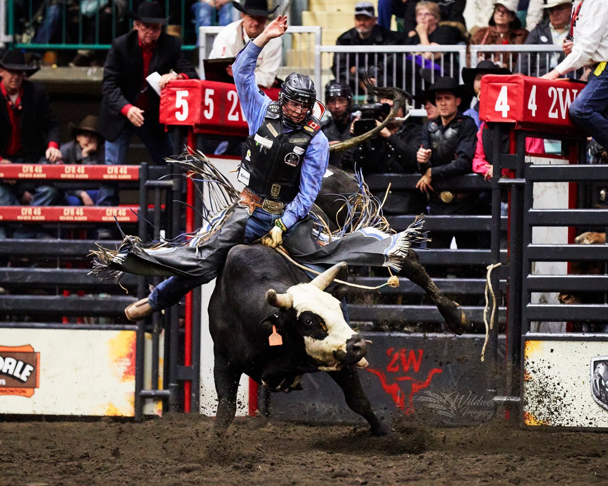 C5 Rodeo Company tweet media