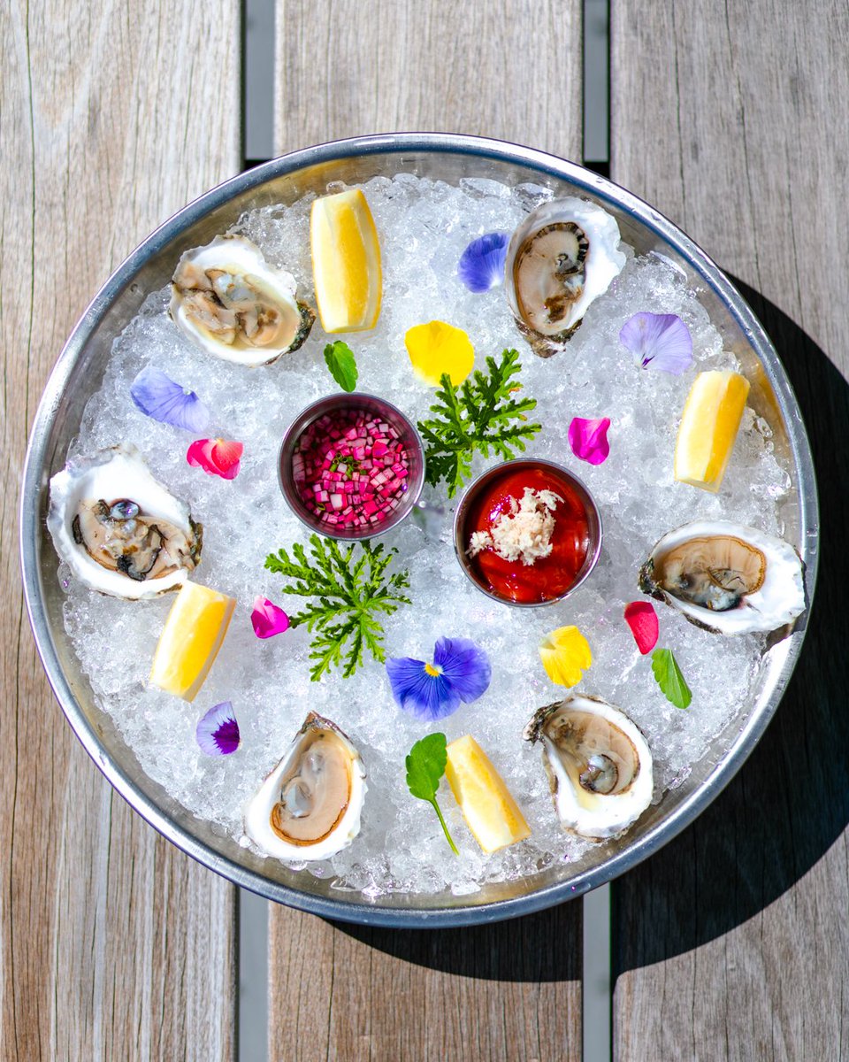 Trillium Brewing (@trilliumbrewing) on Twitter photo Fresh oysters from the good folks at <a href="/IslandCreek/">Island Creek Oysters</a> are back on the menu in Fort Point!
Served with a Daikon Mignonette, Cocktail Sauce, Horseradish, and Lemon, these Duxbury-grown Row34's are clean with moderate salinity and are available to order by the oyster. Fresh oysters from the good folks at <a href="/IslandCreek/">Island Creek Oysters</a> are back on the menu in Fort Point!
Served with a Daikon Mignonette, Cocktail Sauce, Horseradish, and Lemon, these Duxbury-grown Row34's are clean with moderate salinity and are available to order by the oyster.
