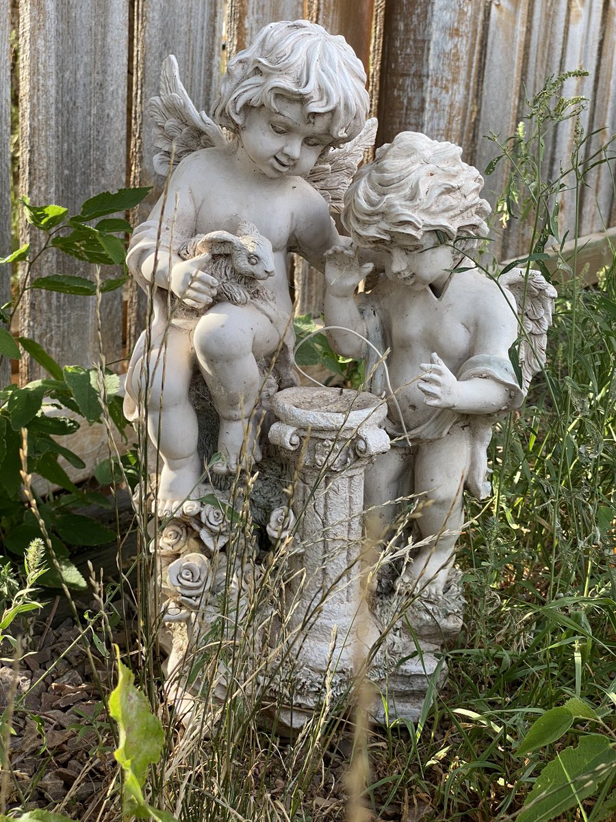 ElisabethWriter's tweet image. “Love is missing someone whenever you're apart, but somehow feeling warm inside because you're close in heart.” — Kai Knudsen ✨ #WalkBreak #AfternoonWalk #RVLife #QOTD