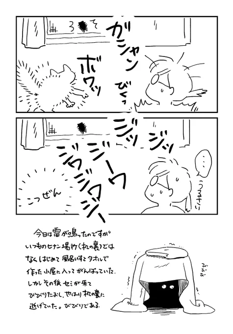 窓に飛来したセミにびっくり猫日記 