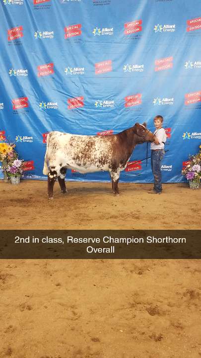 Brandon Rozenboom (@brandonrozenbo1) on Twitter photo 