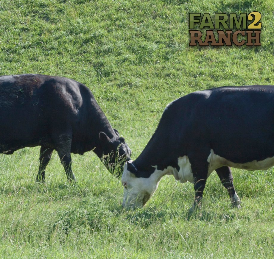 farm2_ranch's tweet photo. Looking for recipes of delicious food the whole family can graze on? Check out our Pinterest page for recipes, gardening tips, DIY's, and more!

https://t.co/wUL9tbCeZL

#farm2ranch #usedag #agriculture #letsgrowtogether https://t.co/UNEB1A3VI0