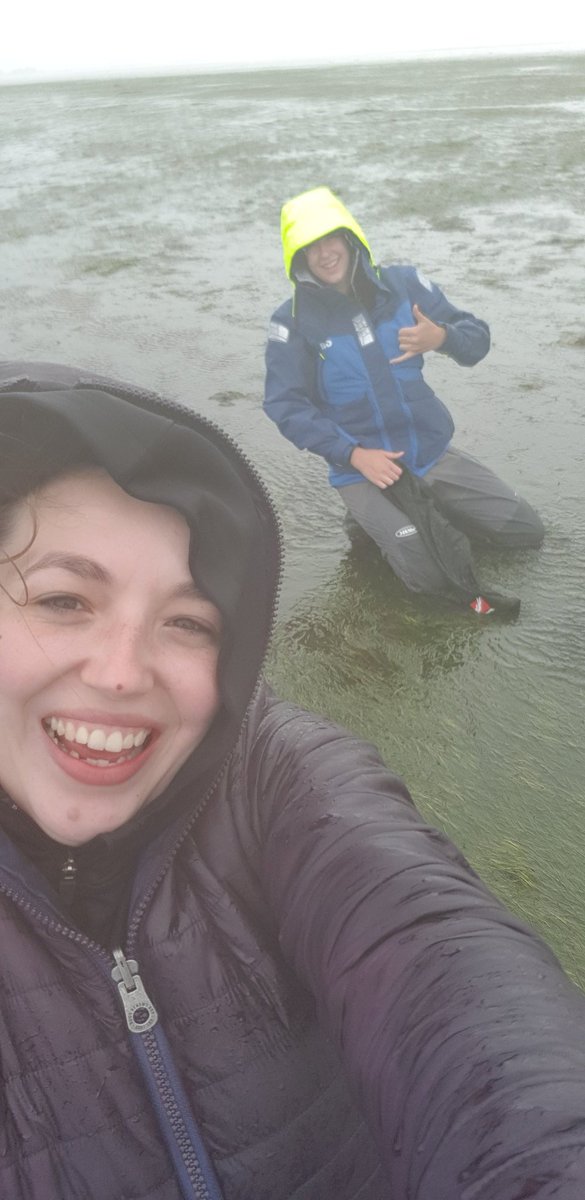 LSClay94's tweet photo. A wet day out collecting seeds again with @ProjectSeagrass at @lindisfarne_nnr 🌱🌱

#TeamSeagrass #projectseagrass #seagrassrestoration #volunteer #WomenInSTEM #WomenInScience https://t.co/q3bj306C5m
