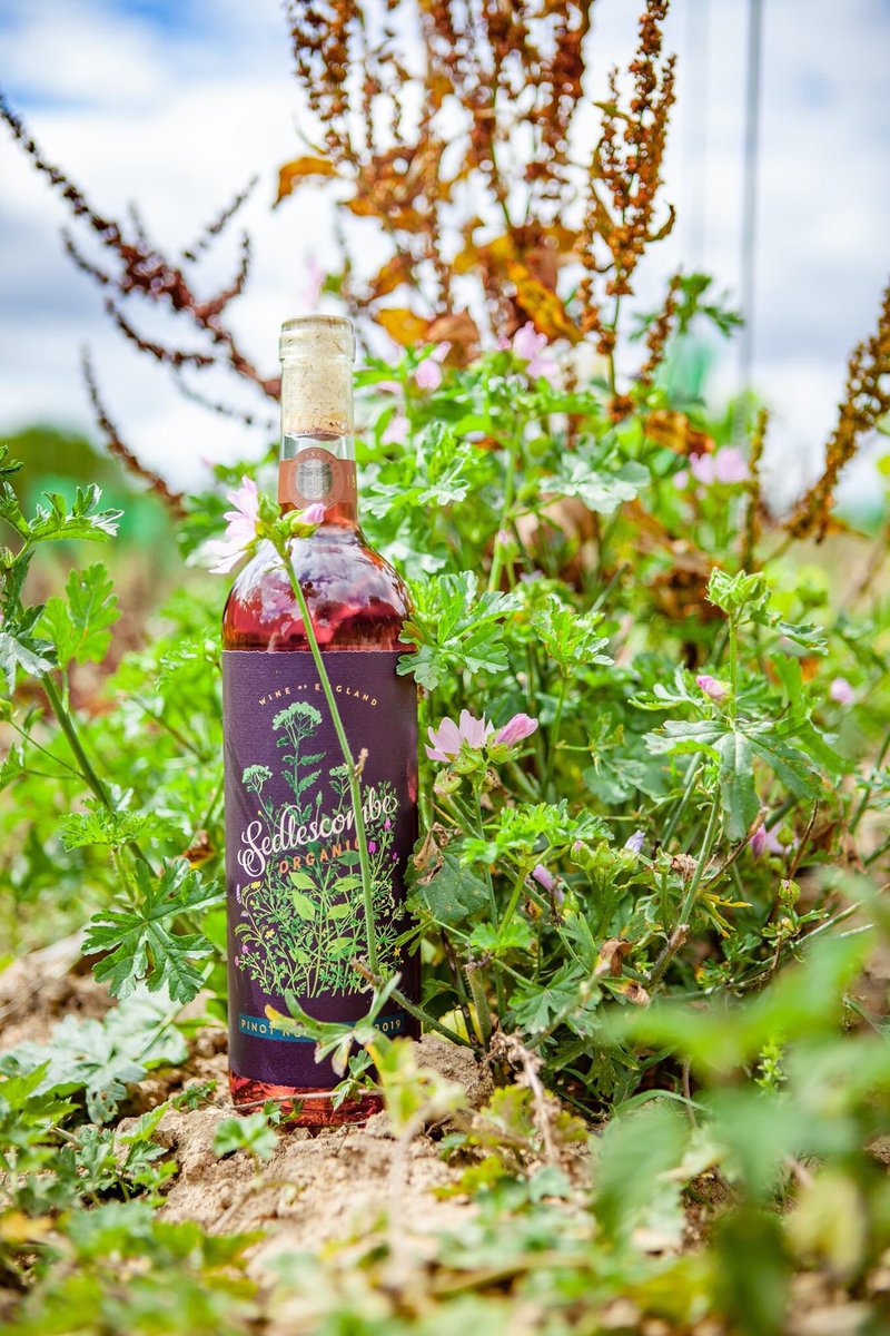 The moment you have all been waiting for.

Our Pinot Noir Rose 2019 🥰 complete with fabulous updated branding (which kept us busy during lockdown)

Why not come down this weekend and try some for yourself or visit our online shop

#organic #rose #vineyard #biodynamic #winery