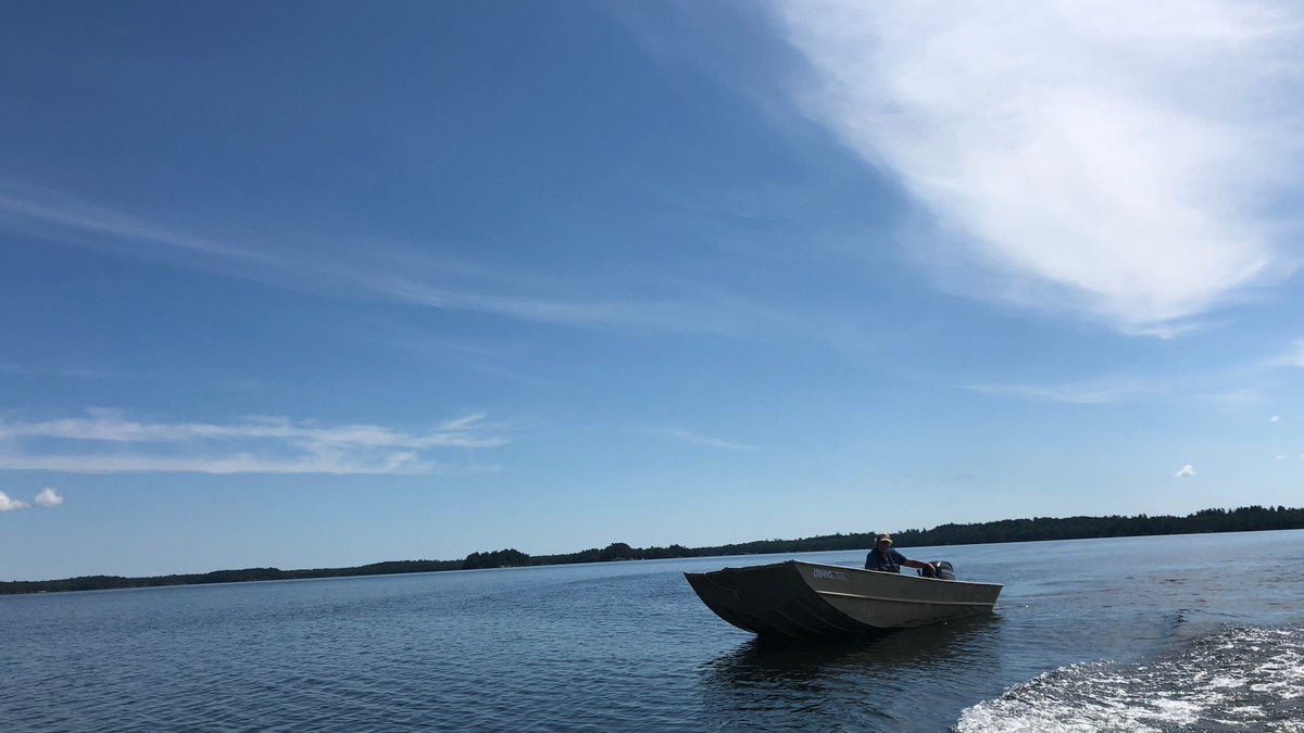 Indian & Cowboy tweet media