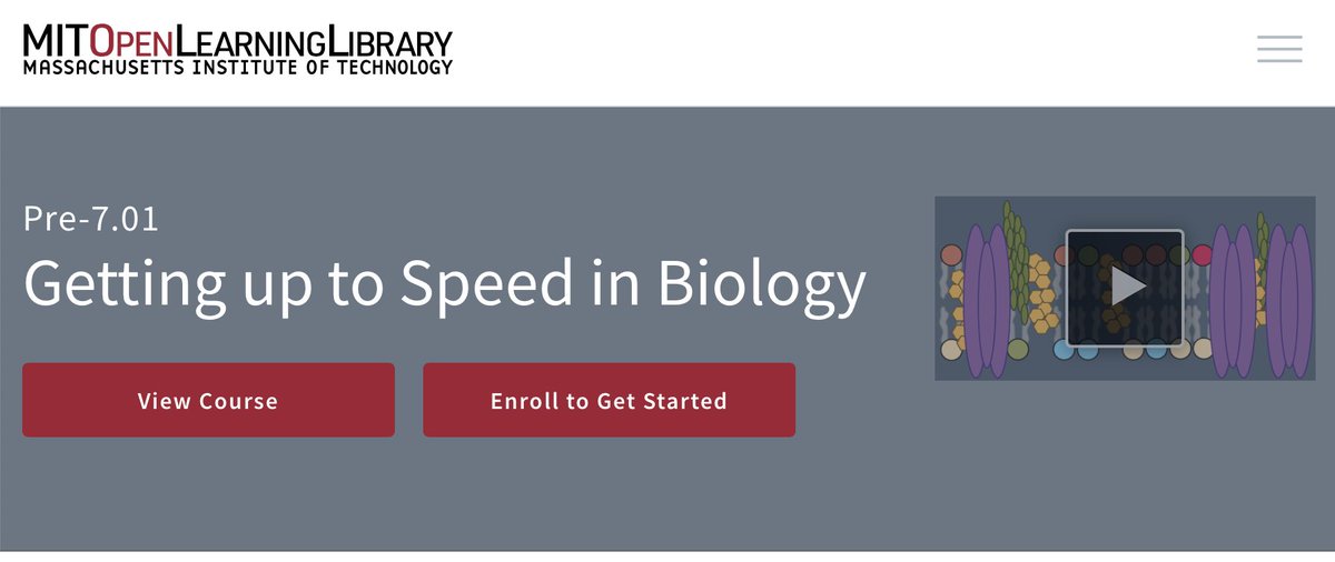 Rachel Lily Terry tweet media