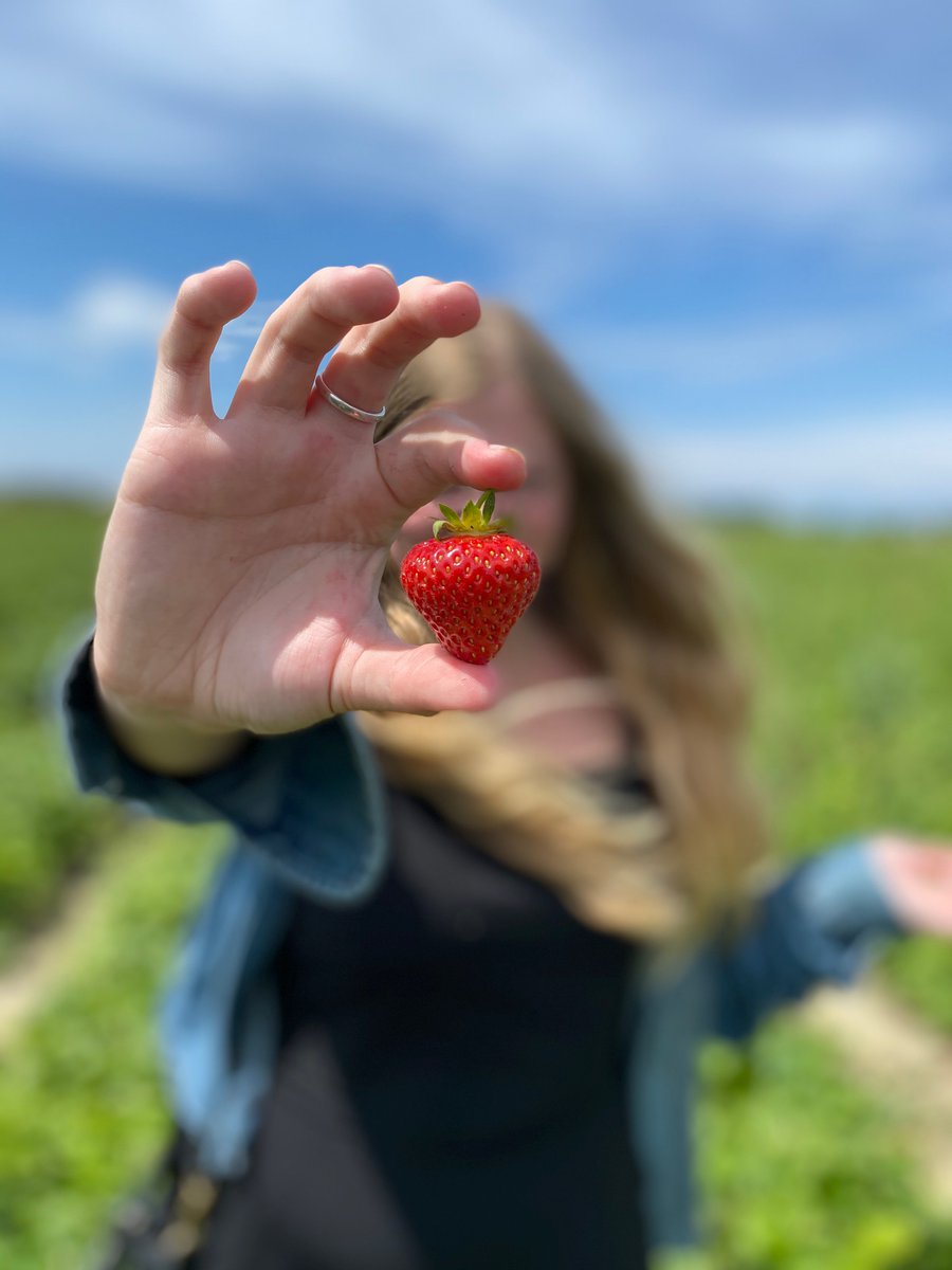 Experience Delta BC tweet media