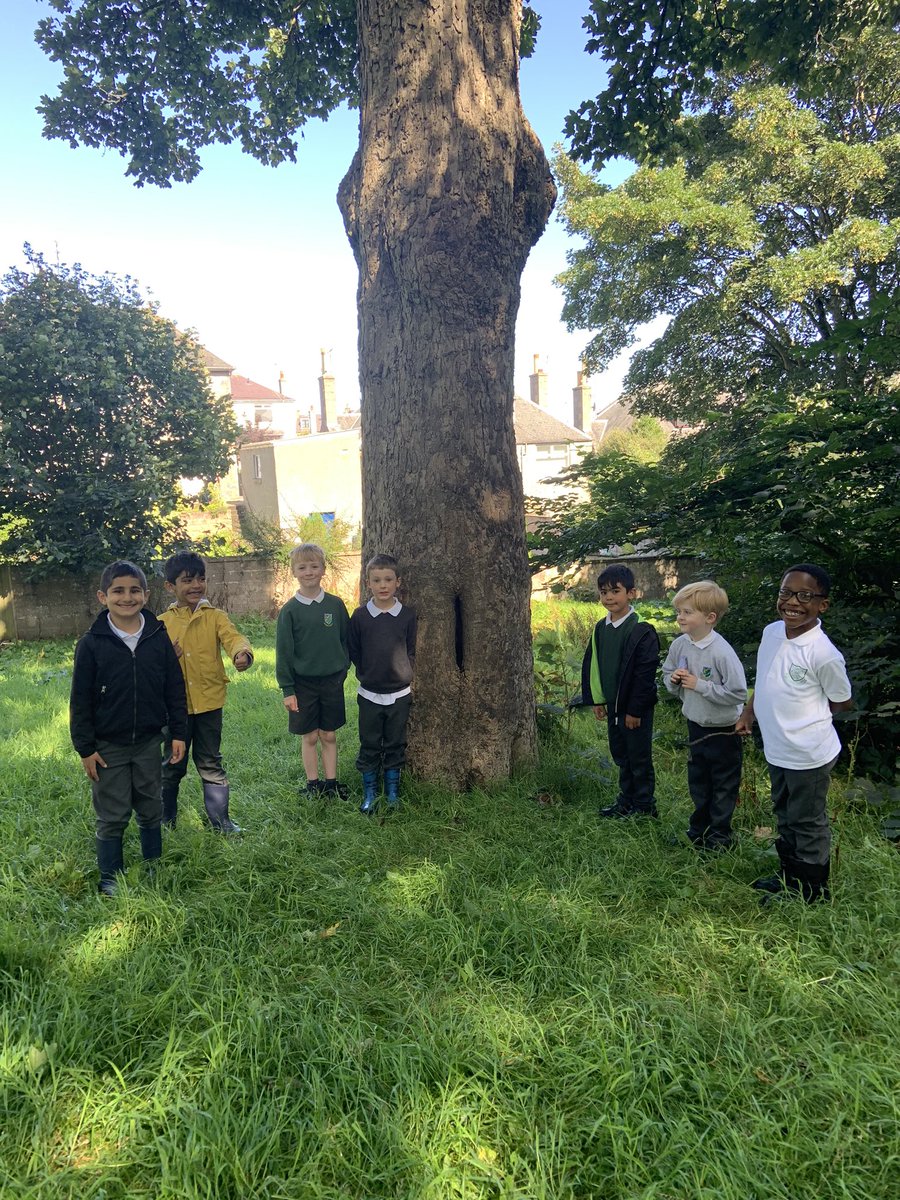 What a fantastic way to end the week! We learned about risk assessment while exploring the nature around us during Forest Friday ! #Broomhillgivesusthefreedomtofly #outdoorlearning #forestfriday <a href="/SchoolBroomhill/">BroomhillSchool</a>