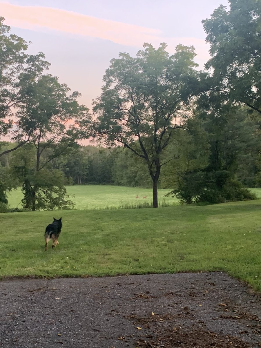 iamanio's tweet photo. Ugh I love where we live 💕 https://t.co/OA83wT4FtP