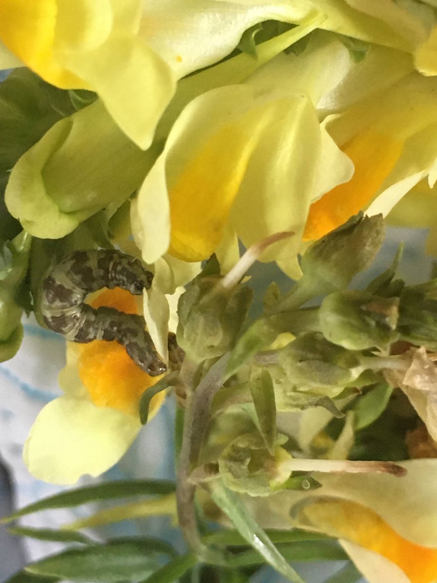 Katty Baird tweet media