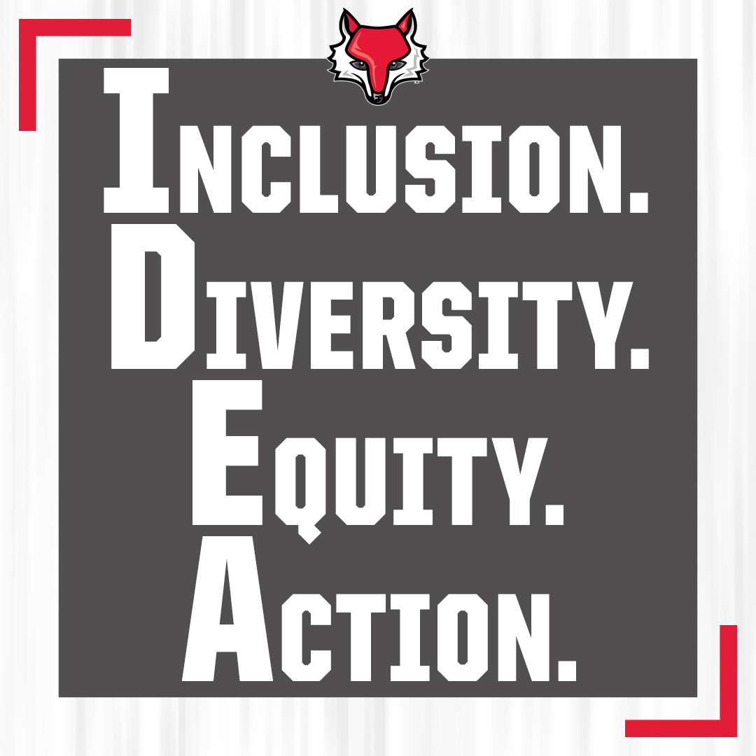 MaristAthletics's tweet photo. The IDEA Committee, after input from student surveys, @MaristBSAA, @MaristSGA, and alumni, meets weekly to discuss diversity and inclusion topics while implementing action items designed to improve the department's culture through four pillars, outlined below. #GoRedFoxes https://t.co/SMVjCLbjPL