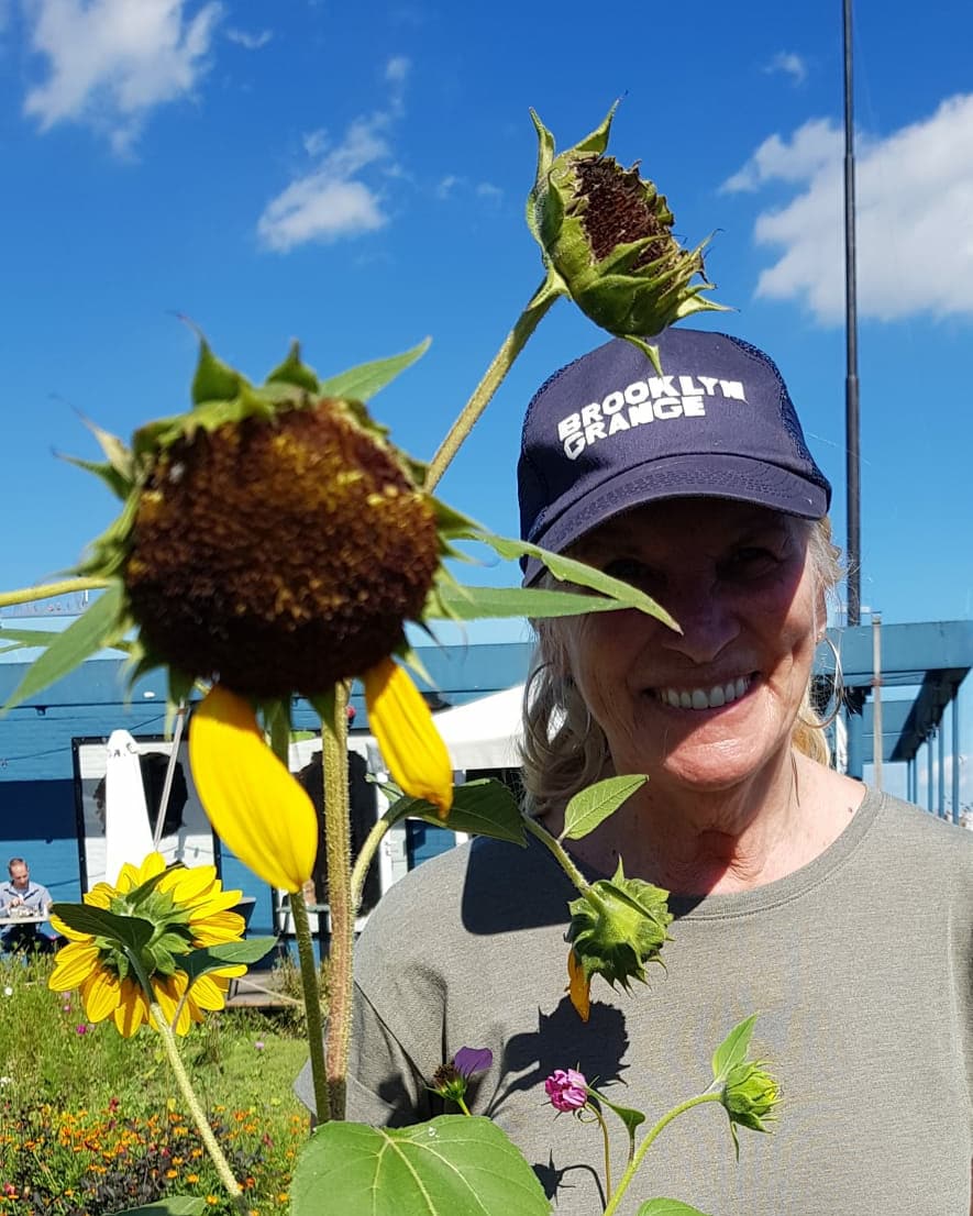 DakAkkers (@d_akkers) on Twitter photo Proud to be a #rooftopfarmer on the #DakAkker #rooftopfarm in #Rotterdam (with cap from the <a href="/BrooklynGrange/">Brooklyn Grange</a> our great source of inspiration!). :) Proud to be a #rooftopfarmer on the #DakAkker #rooftopfarm in #Rotterdam (with cap from the <a href="/BrooklynGrange/">Brooklyn Grange</a> our great source of inspiration!). :)