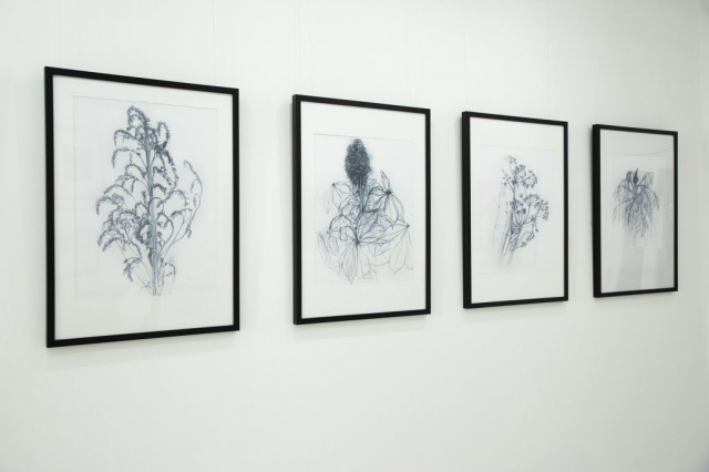 Fishslab tweet media