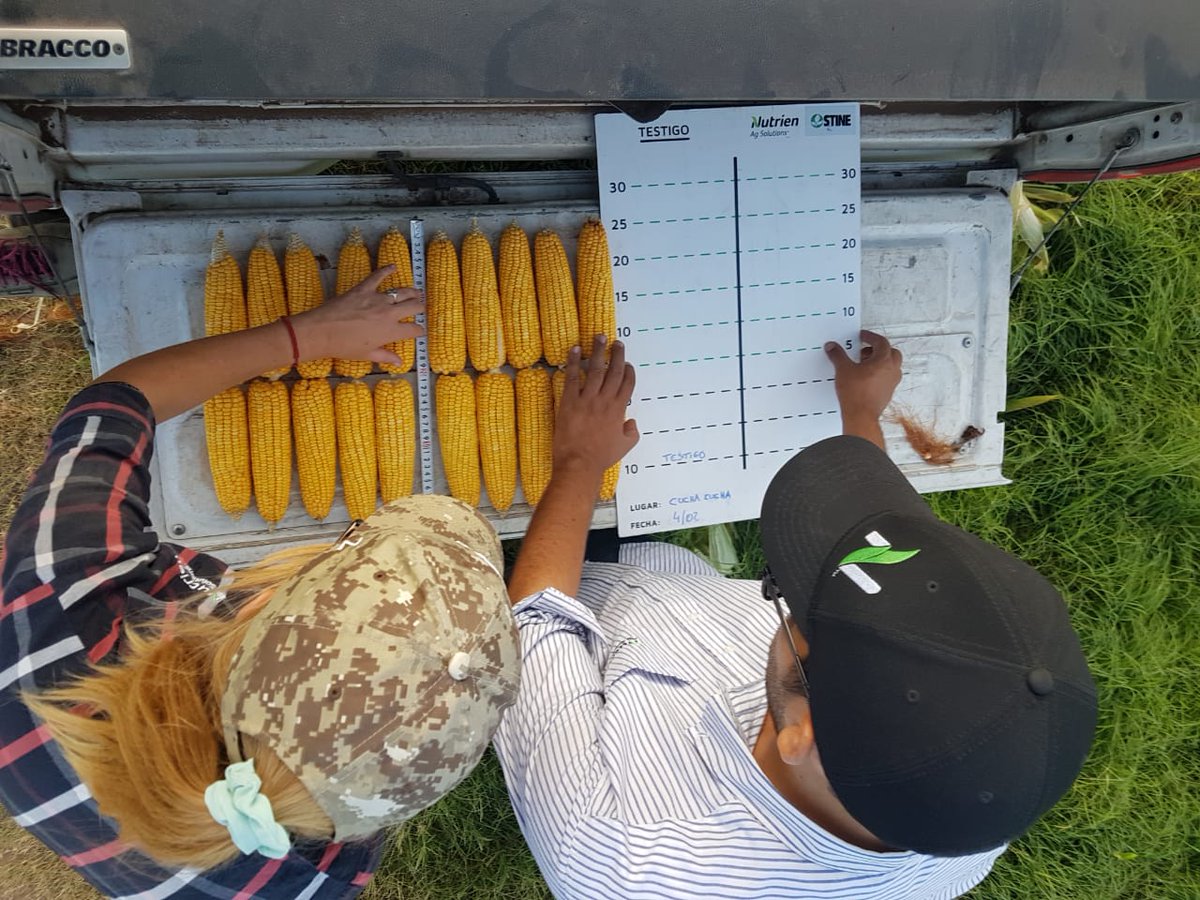 ¡Ya terminamos de trillar todos los ensayos de soja y maiz! 👏💪

Se destacaron nuevamente #AcetateZn y #MicroSyncM en maiz, y #Gainer #MicroSyncD y #Borosol en soja 🌱

Pronto compartiremos los resultados 💪