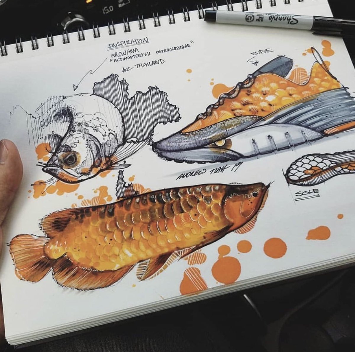 Caravan_Designs's tweet image. Little bit of colorful drafting