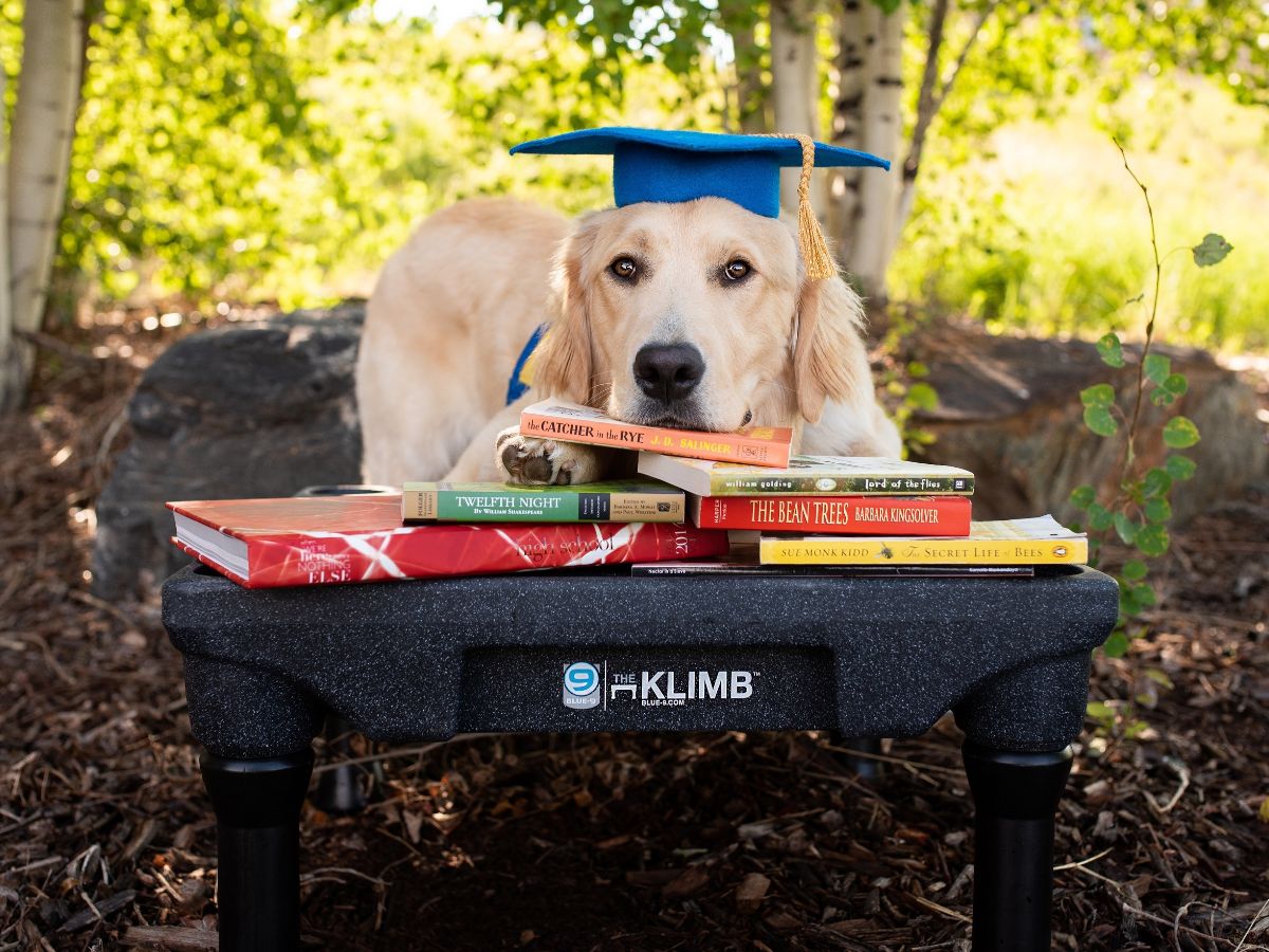 Blue-9 Pet Products tweet media