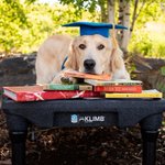 Photo by Blue-9 Pet Products (@Blue9Pet)