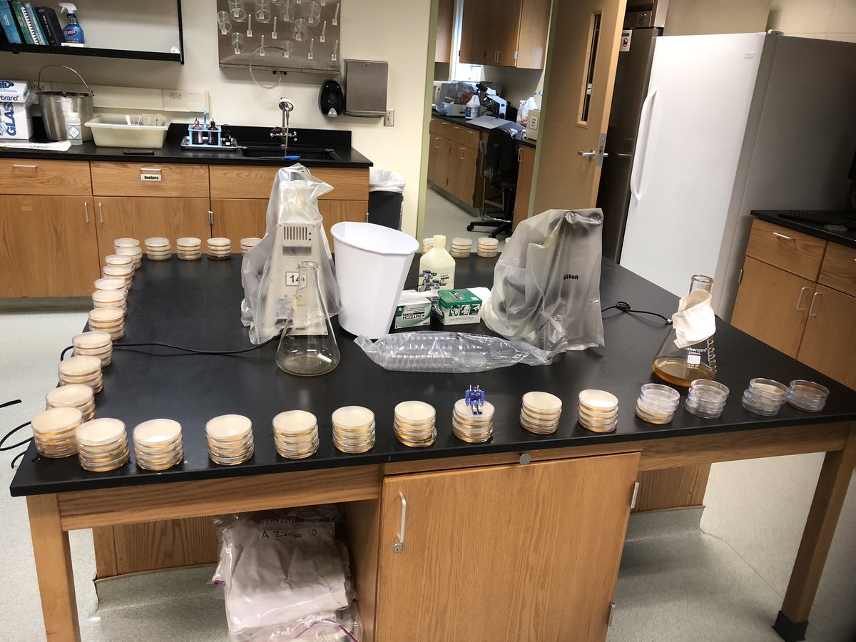 Patch_The_Medic's tweet image. TSA plates! Thats some hot liquid buddy #LabBot #PercysLab