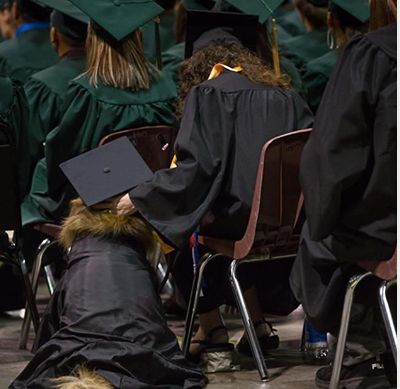WeLoveDogsUSA's tweet photo. Service Dogs Graduate with their Humans
...and why not? They sat through all classes with them! https://t.co/PgNgj2hArk