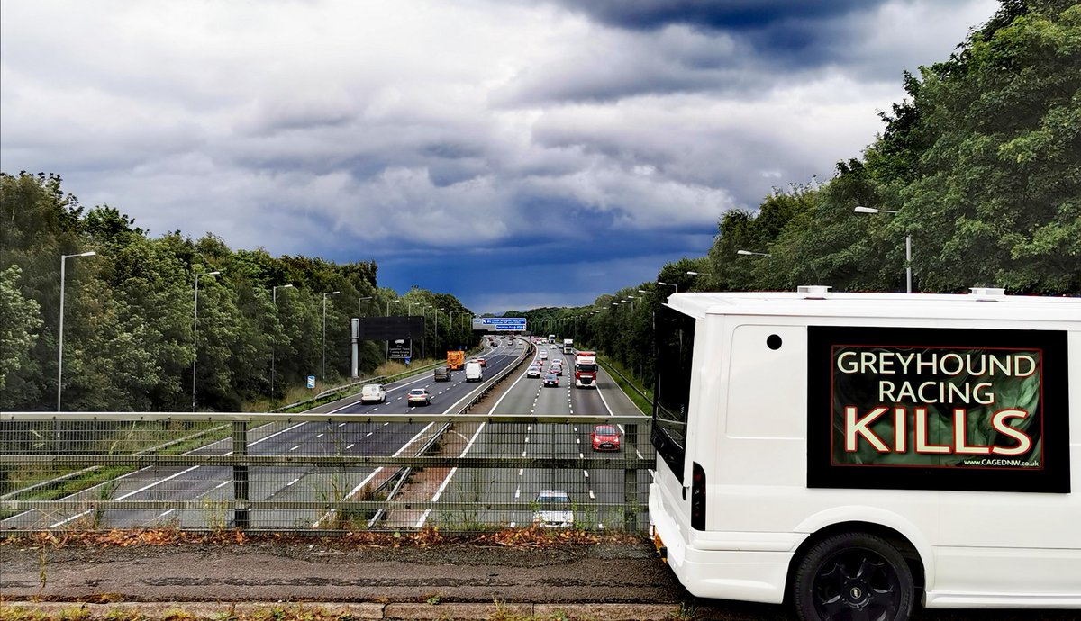 CAGEDnw's tweet photo. Rush hour traffic awareness, give us a beep if you see us out and about
#racedtodeath #awarenessvan #youbettheydie https://t.co/ITs0ELiOCa