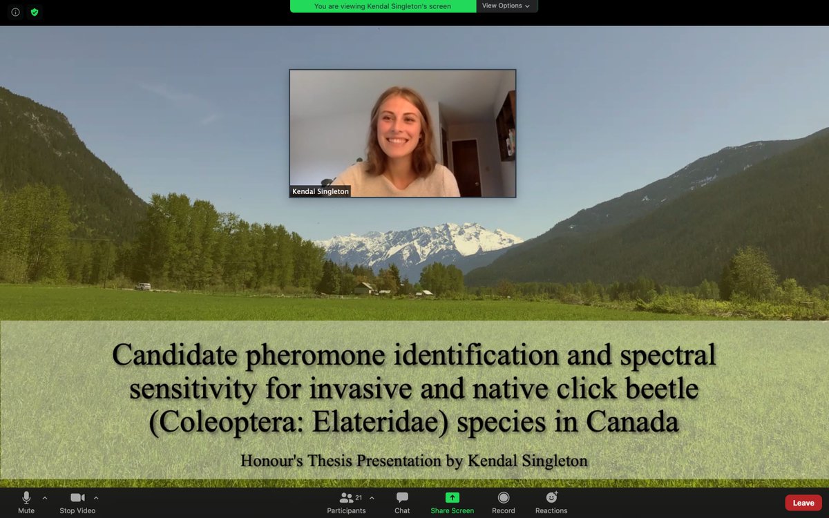 GriesLab's tweet image. Kendal Singleton (a soon to be MPM student) gave the lab a preview of her ISS (undergrad thesis) defence on Click Beetles today. Her defence Tuesday the 25th at 9:30 AM (Get in touch if you'd like a zoom link).

#GriesyFridays #ThereWillBeSweetsAgainSoon