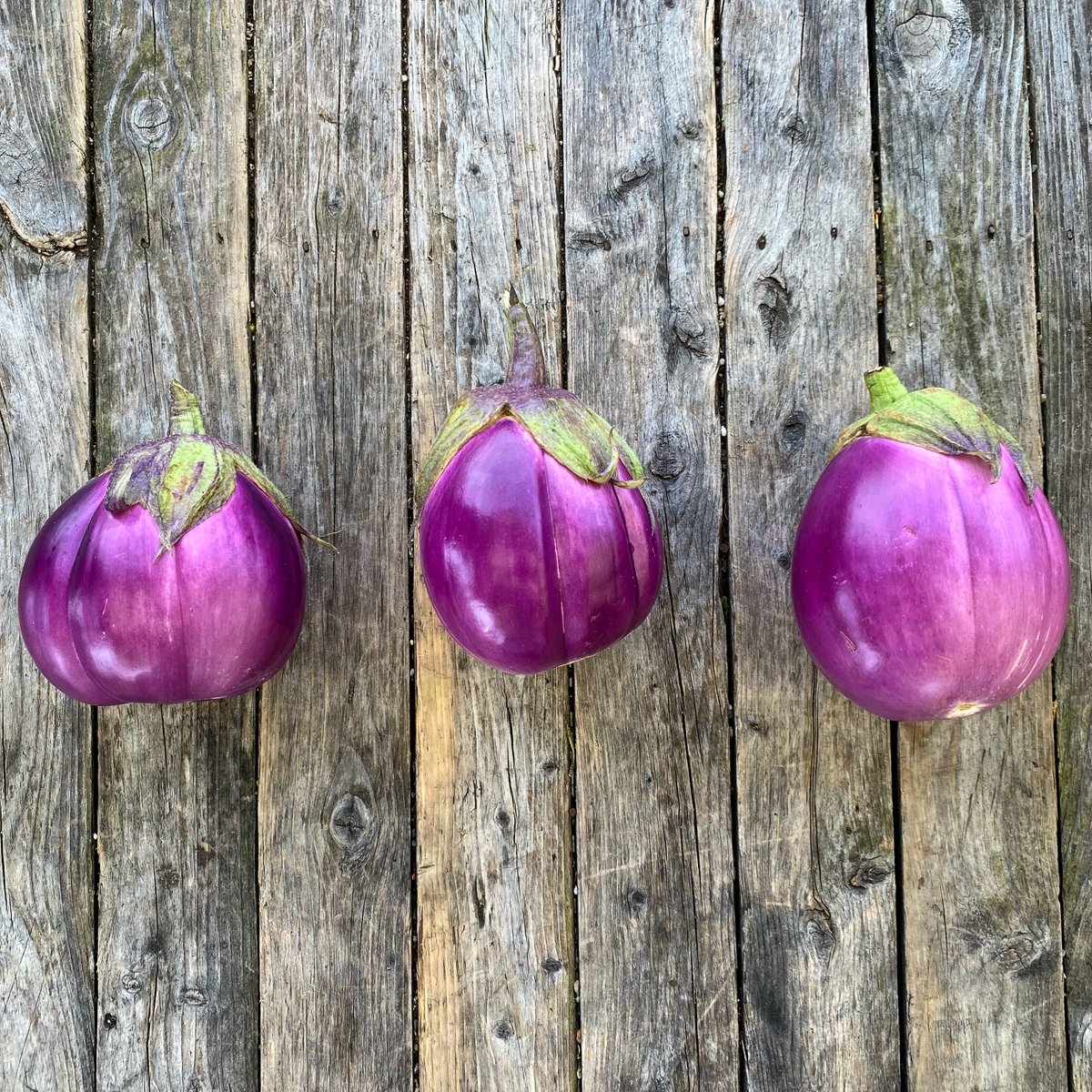 Name a prettier veggie than #eggplant! Is it even possible?