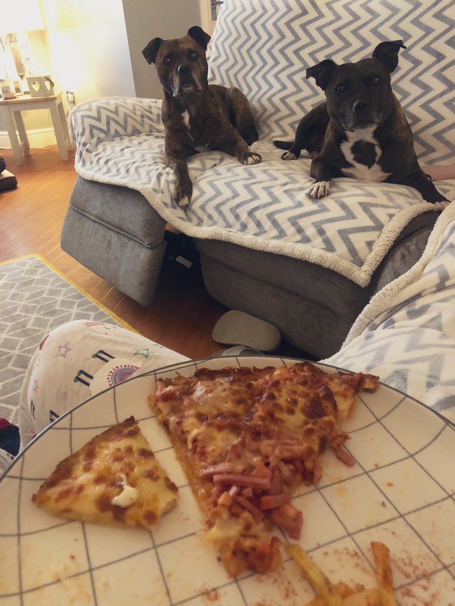 I don’t think they blinked, took a breath or moved at all while I scoffed this 😂