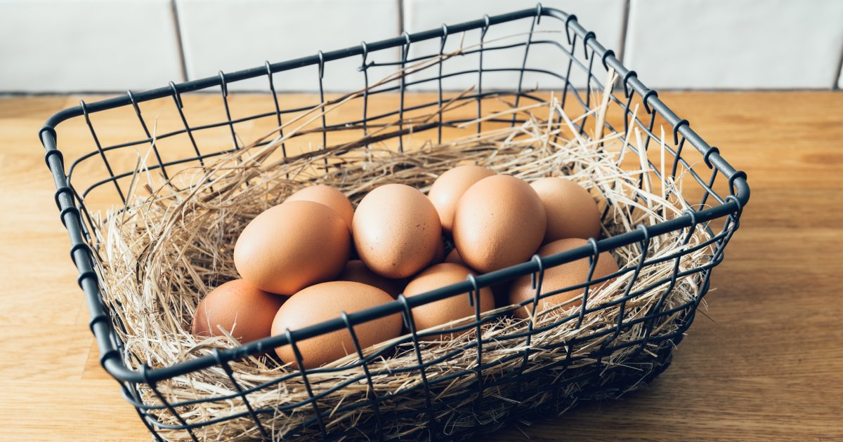 Egg Farmers of AB tweet media