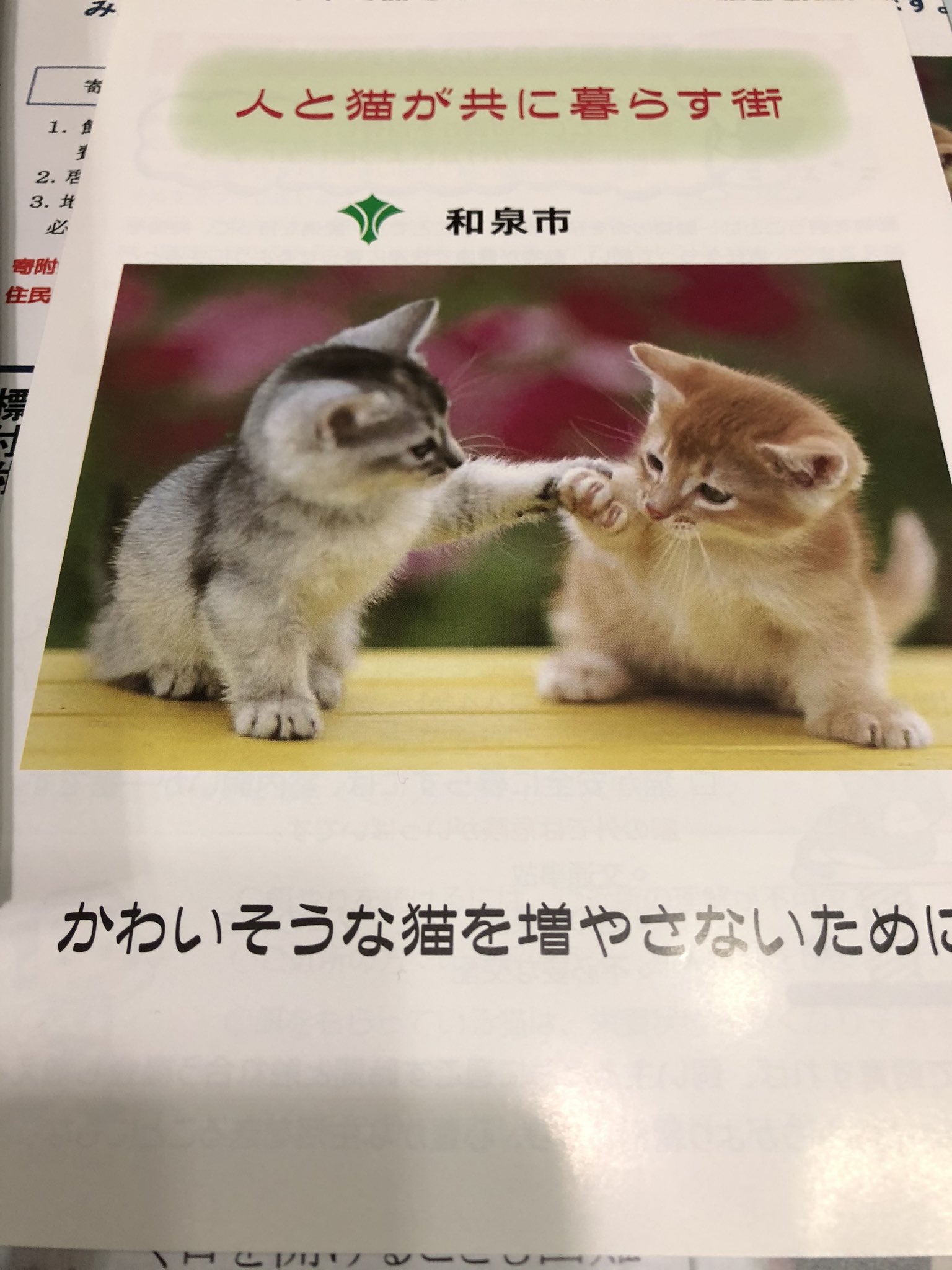 堺サクラ猫の会 Sakaisakuraneko Twitter