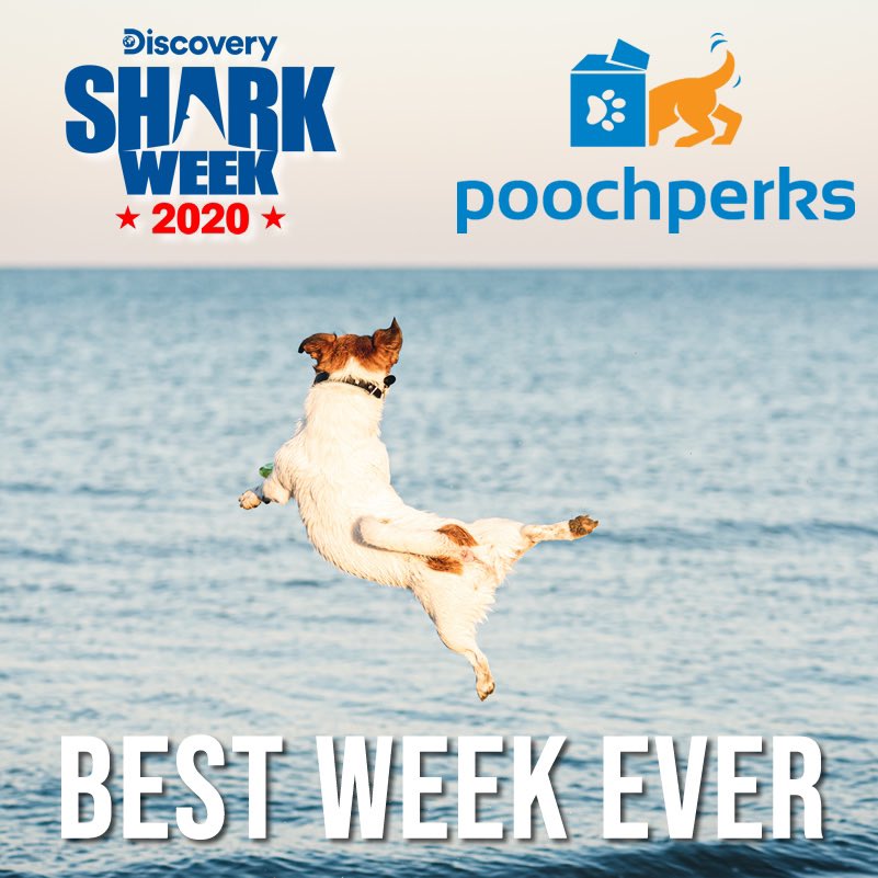SHARK WEEK IS HERE! 🦈 🤩 We are celebrating #sharkweek with 10% off all boxes this week only! Use Code: Shark10