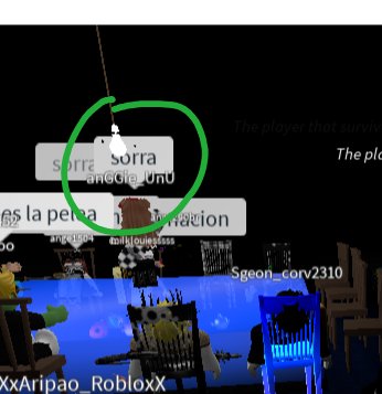 zeek_ok's tweet photo. Anggie compañera de sgeon y ari ofendiendo en roblox :/ este es tu idolo? Prueba #5 https://t.co/0FPlLsFMA4