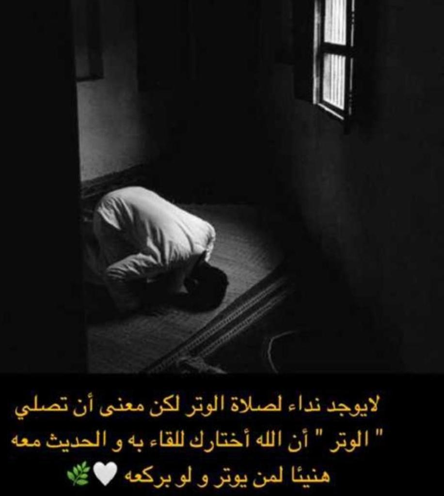 sar52980's tweet photo. 🌿
الوتر .. جنتك . سعادتك . راحتك . تحقيق أمنياتك ،، https://t.co/jn8mOKXZQe