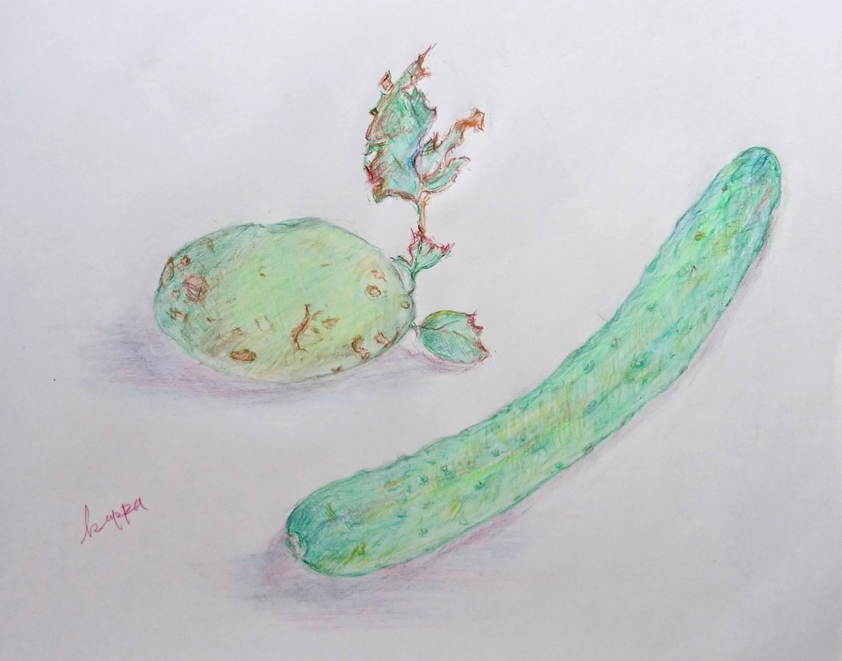 Twoucan キュウリ の注目ツイート イラスト マンガ コスプレ モデル