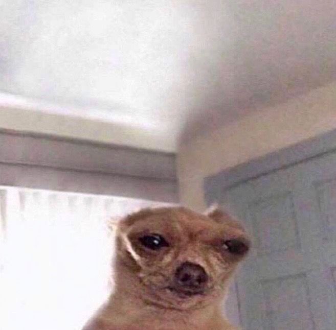 ashleychris97's tweet image. I wanna be at recruitment so bad rn. I miss it and my friends #wahhh