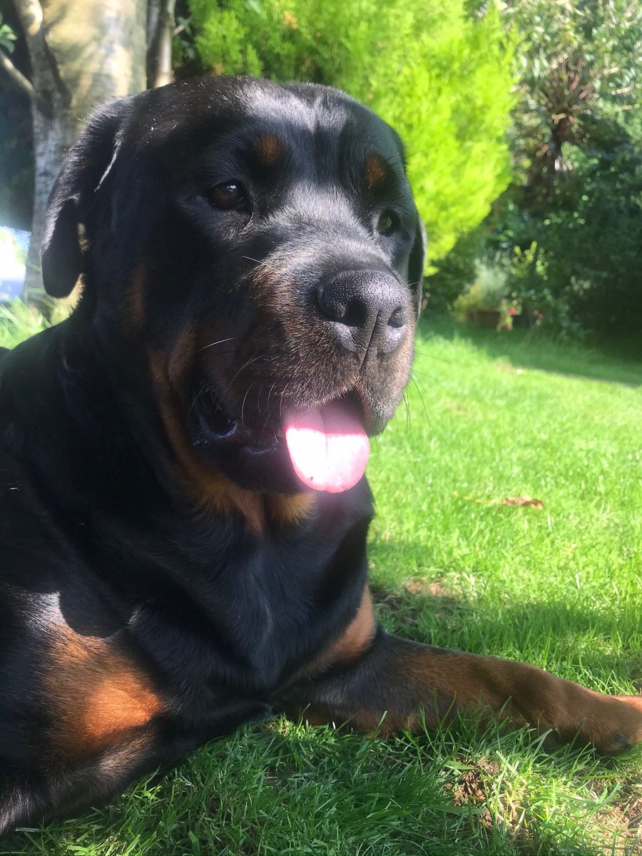 Jason Dee (@jasondee171) on Twitter photo 