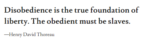 Chris Hedges tweet media