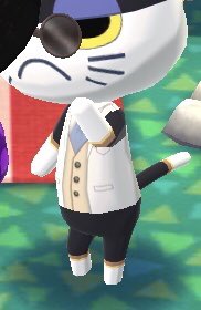 elysiumhorizons's tweet photo. wait. punchy has brown. punchy is a calico. calico are female. punchy is a trans boy https://t.co/ZYXeyuRU5u