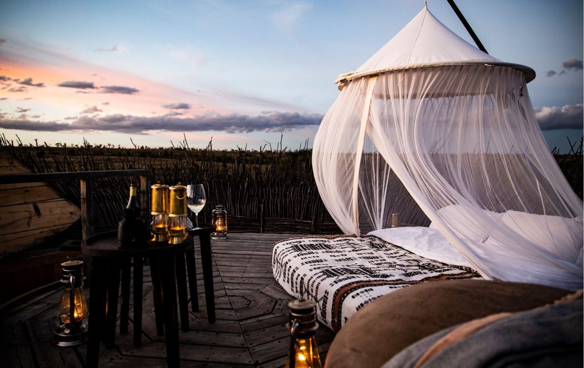 Africa Facts Zone on Twitter "Nay Palad Bird Nest in Laikipia, Kenya.…