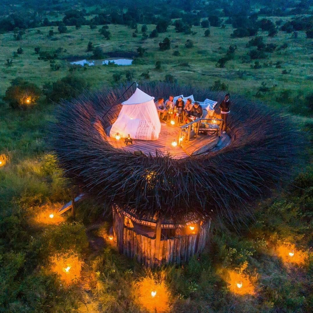 Africa Facts Zone on Twitter "Nay Palad Bird Nest in Laikipia, Kenya.…