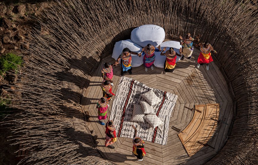 Africa Facts Zone on Twitter "Nay Palad Bird Nest in Laikipia, Kenya.…