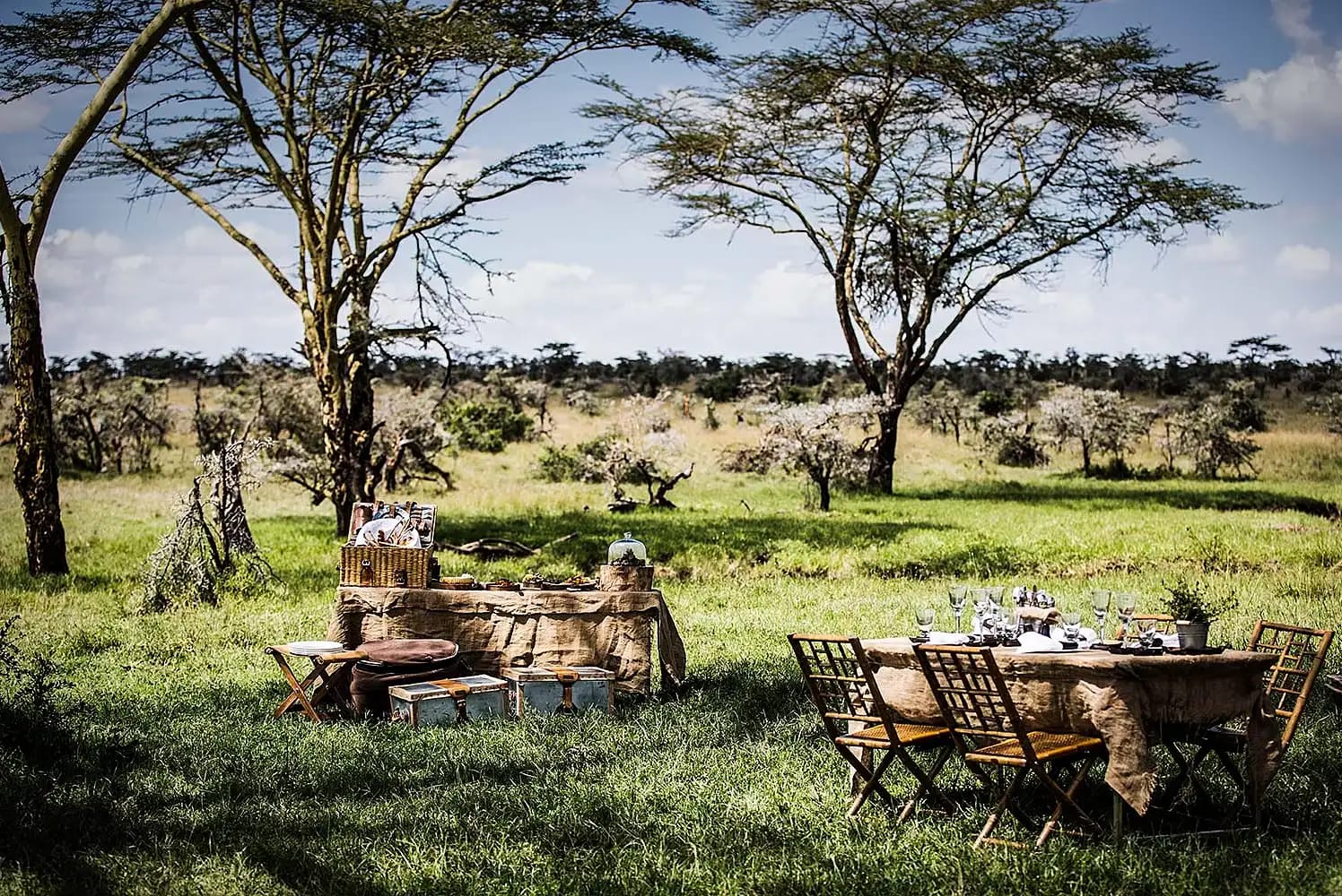 Africa Facts Zone on Twitter "Nay Palad Bird Nest in Laikipia, Kenya.…