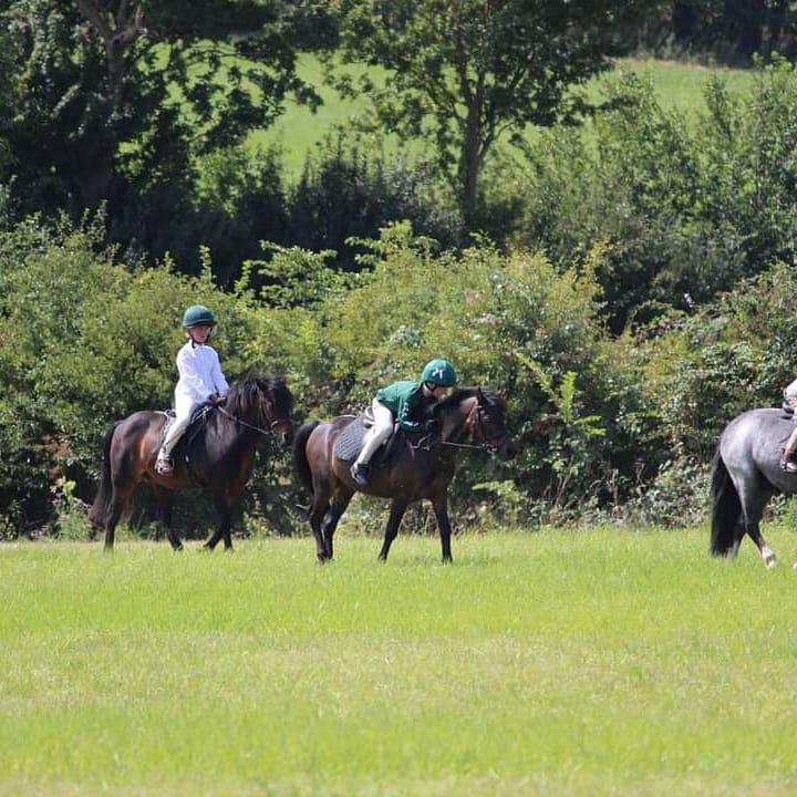 HarriersPc's tweet photo. This week was the turn of Easton Harriers junior members to have there day camp rallies!! As you can see by the wonderful photos and the smiles they had a fab time!!! #theponyclub #summerfun #ponyfriends #socialdistance #newnormal #noipadshere #ponyhour #equinehour https://t.co/0w06q1fXrC