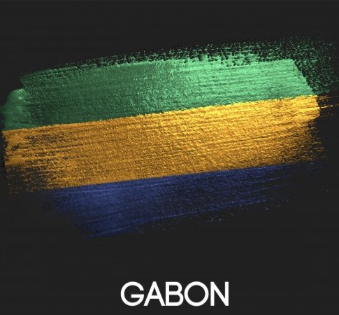 RoldanMezui's tweet photo. Restons #fidèle à nos couleurs qui sont également la représentation de nos différentes #valeurs patriotiques. 
#gabon #fidélité #paix https://t.co/7uaxscv9A6