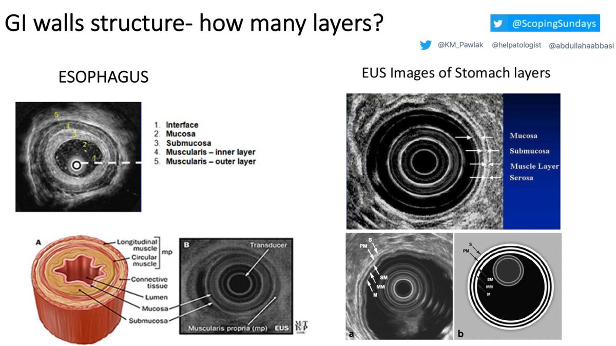 Katarzyna Monika Pawlak tweet media