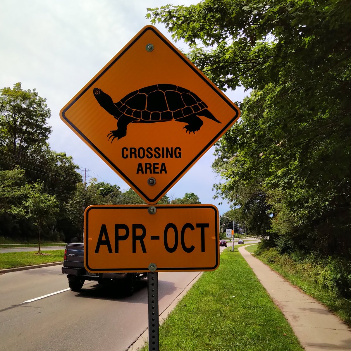 PhilAndrews519's tweet photo. I wonder if the turtles/tortoises get reminders on their phones about key deadlines approaching. #GotShell https://t.co/cH7PBbarWU