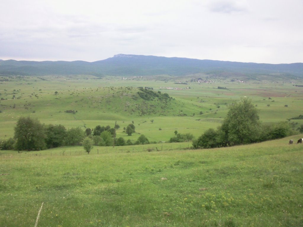 But what I love the most is the name of the place where this artefact was found: Glasinac. Glasinac is a huge green highland ideal for sheep raising. And we know that the area was used just for that since early 2nd millennium BC...  https://bs.wikipedia.org/wiki/Glasinac&nbsp;