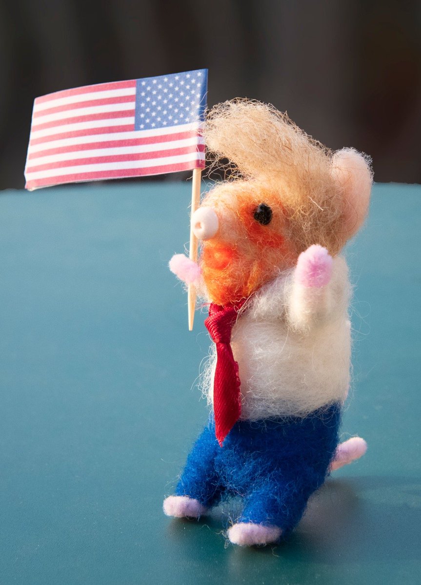 o_lotts's tweet photo. #makerssmice Donald Trump trying to win his latest campaign @themakerss famous mouse comp @realDonaldTrump @WhiteHouse . Please retweet 😊 https://t.co/hrar1alJUw