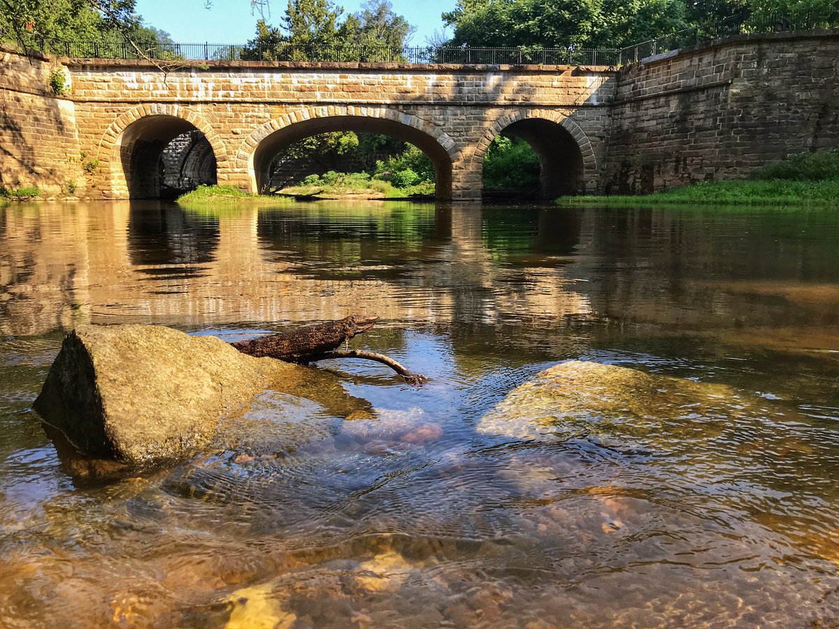 From this morning’s jaunt out to the Catoctin Creek C&amp;O aqueduct. Unfortunately a few trees block access from the #PotomacRiver but you can walk your kayak around the obstacles. #cleanwater #PointofRocks #CandOCanal <a href="/TheNationsRiver/">Potomac Conservancy</a>